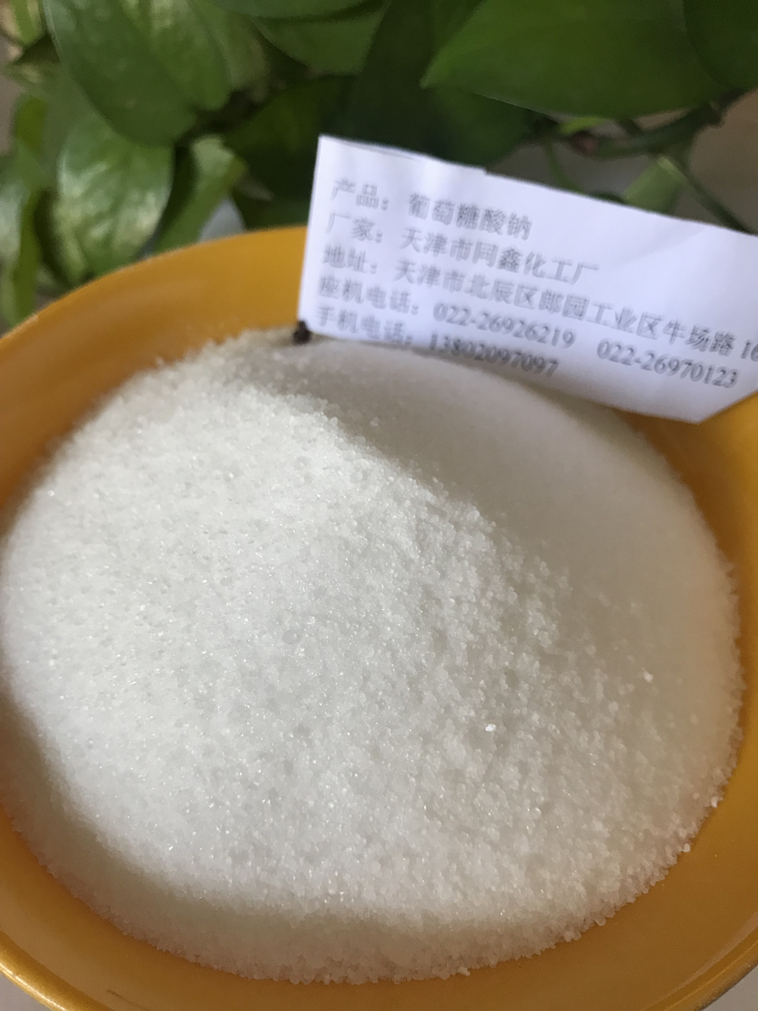 葡萄糖酸鈉 葡萄糖酸鈉